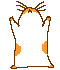 gerbil20110724-22047-1d239dr.gif GIF of the dancing hamster