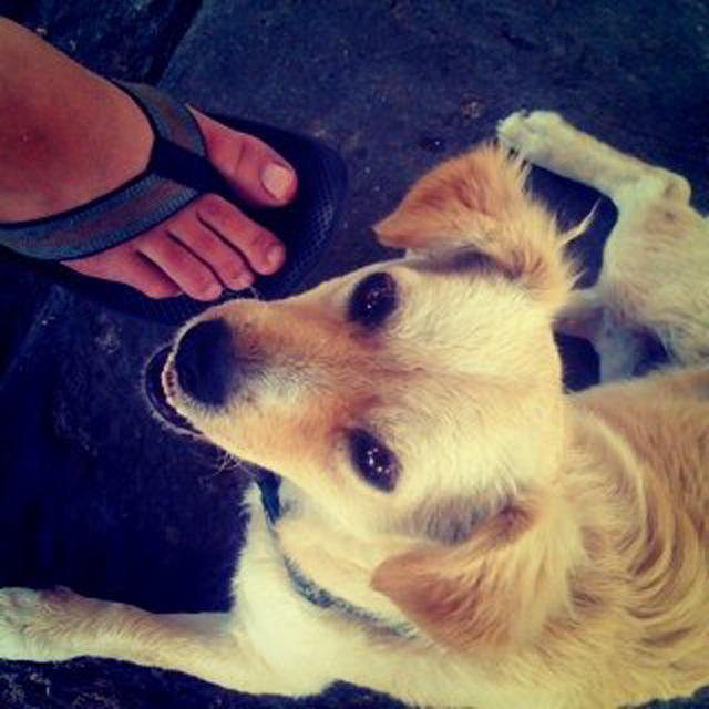 5ed.jpg first ever instagram post by Kevin Systrom of his dog and girlfriend's flip-flop