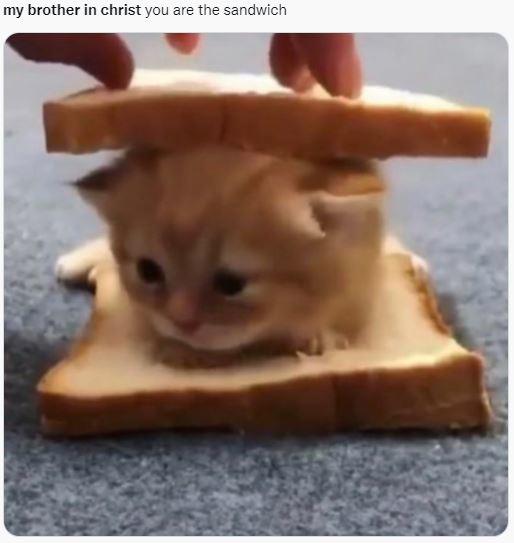 brother my brother in christ you are the sandwich