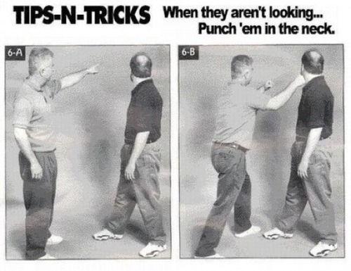 self_defense_pro_tip.jpg TIPS-N-TRICKS When they aren't looking.. Punch 'em in the neck 6-A