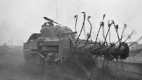 Sherman Crab Tank