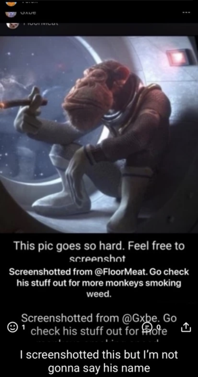 This Pic Goes So Hard. Feel Free To Screenshot UAUE This pic goes so hard. Feel free to screenshot Screenshotted from @FloorMeat. Go check his stuff out for more monkeys smoking weed. Screenshotted from @Gxbe. Go check his stuff out for ote O 1 I screenshotted this but I'm not gonna say his name